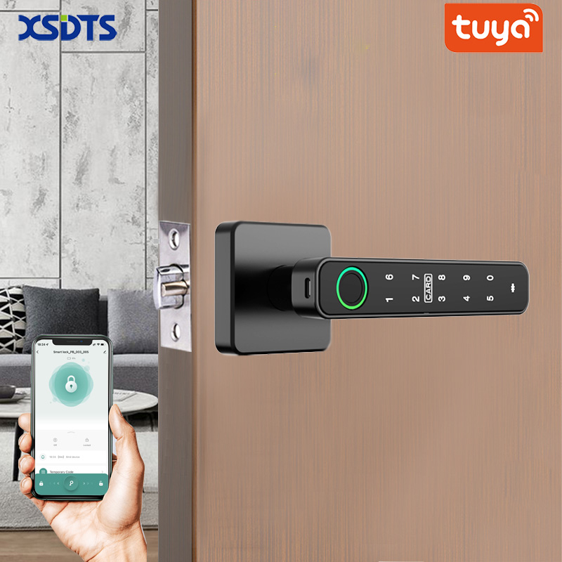 Door Handle Bar - XSDTS Tuya Handle Fingerprint Key Card