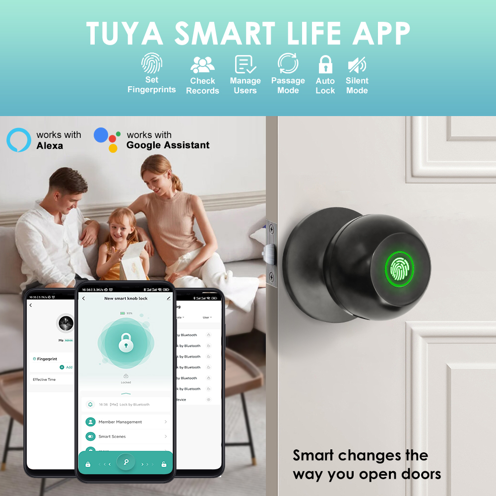 Tuya Electronic Door Lock Smar - đánh giá và giá Door Handle Bar