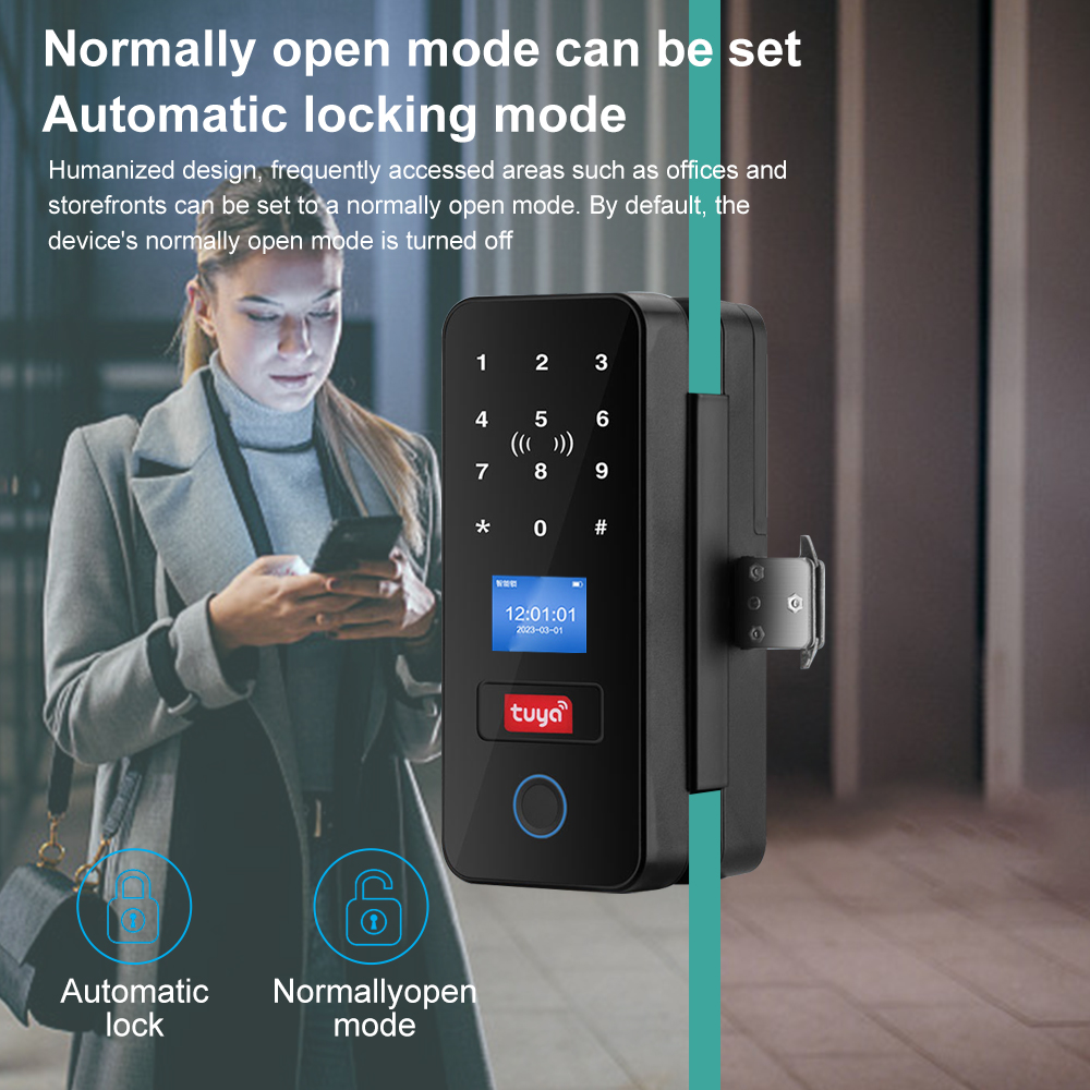 Double Hook Smart Glass Door L - đánh giá và giá Furniture Sliding Door Hardware