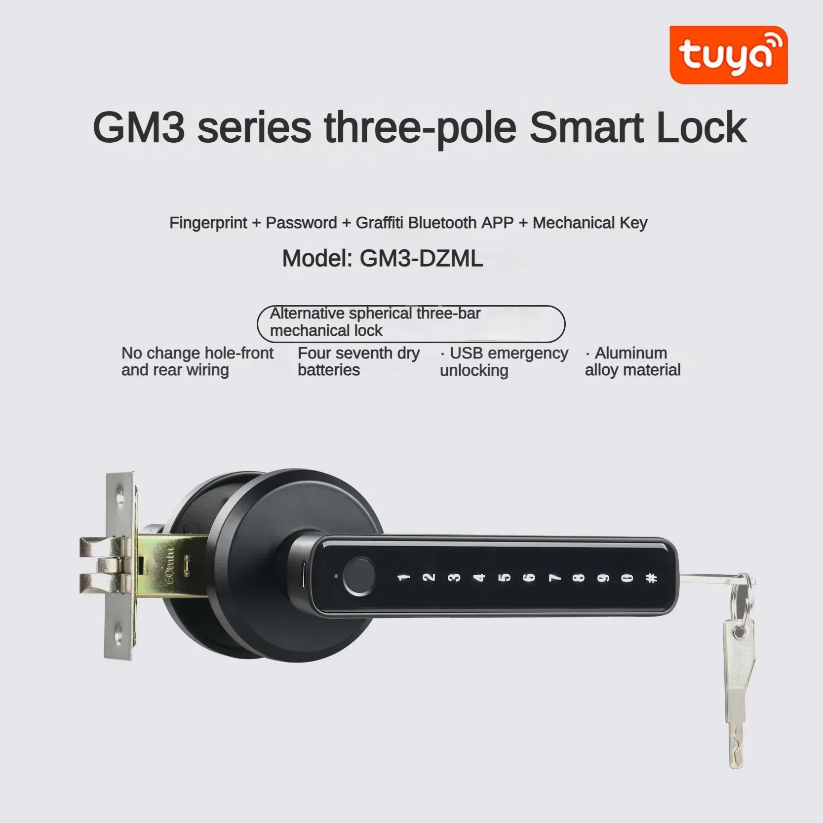 New Tuya Indoor Fingerprint Lo - đánh giá và giá Door Handle Bar